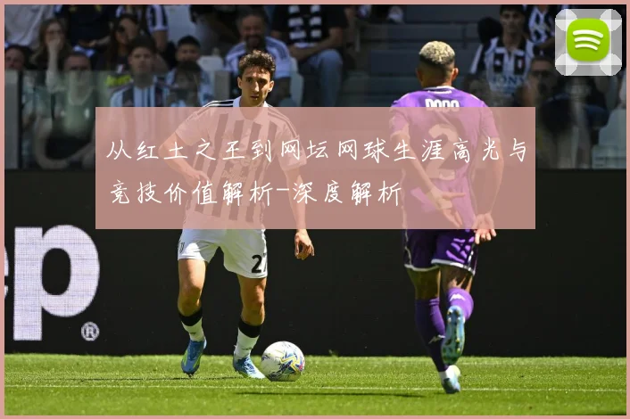 从红土之王到网坛网球生涯高光与竞技价值解析-深度解析