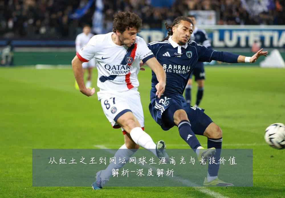 从红土之王到网坛网球生涯高光与竞技价值解析-深度解析